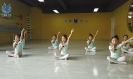 七级考级舞蹈全部视频,七级考级舞蹈视频精华集锦