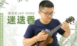 尤克里里演奏视频,跟随视频学弹奏，轻松入门音乐之旅