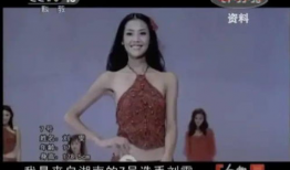 17上露点性爱直播,揭秘网络性爱直播的隐秘世界